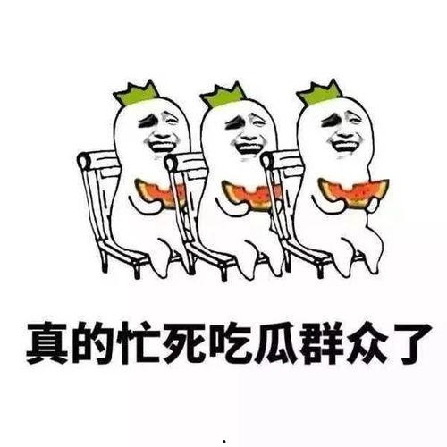 吃瓜吃的很精致怎么形容,品味生活点滴