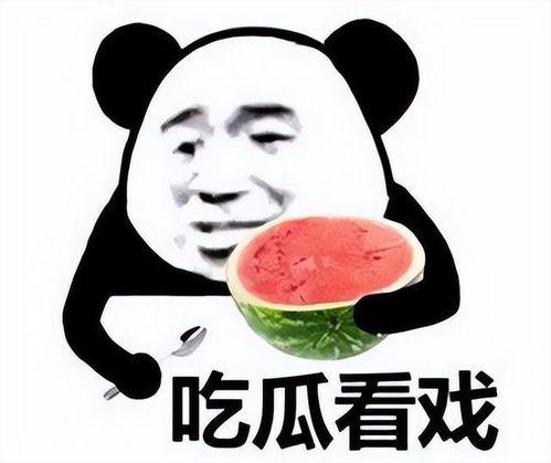 默默吃瓜的表情包,揭秘网络表情包的魅力