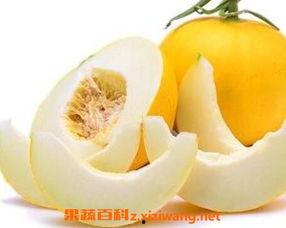 伊丽莎白蜜瓜怎么吃,伊丽莎白蜜瓜的多彩食法探索