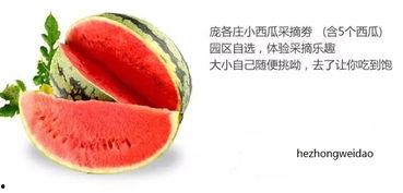 星禾吃瓜