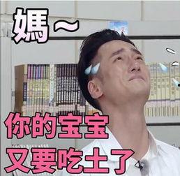 王牌吃瓜表情